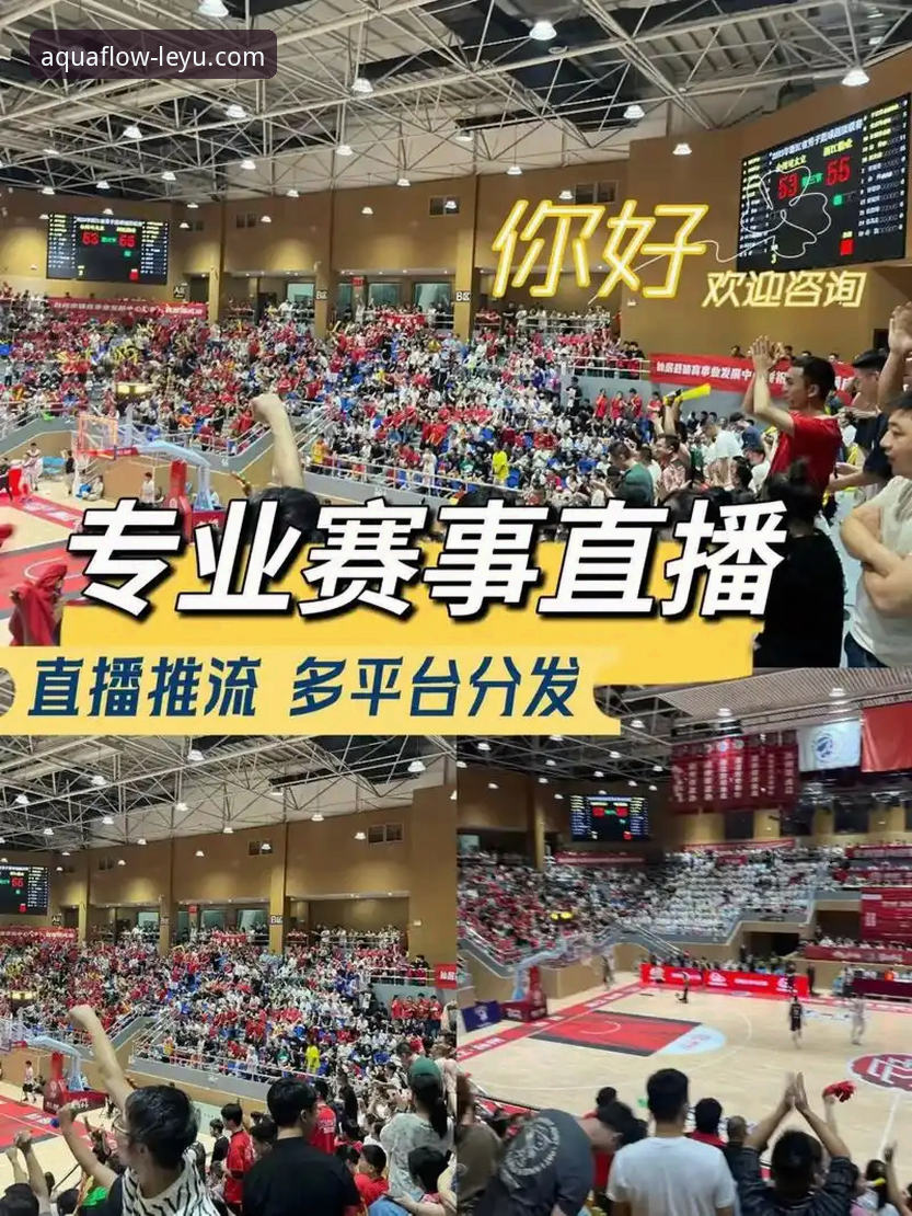 为什么说乐鱼体育赛事直播平台能改变你的观赛体验？